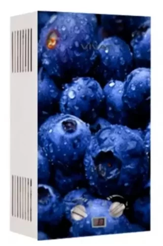 Проточный газовый водонагреватель VIVAT GLS 20-10 L NG